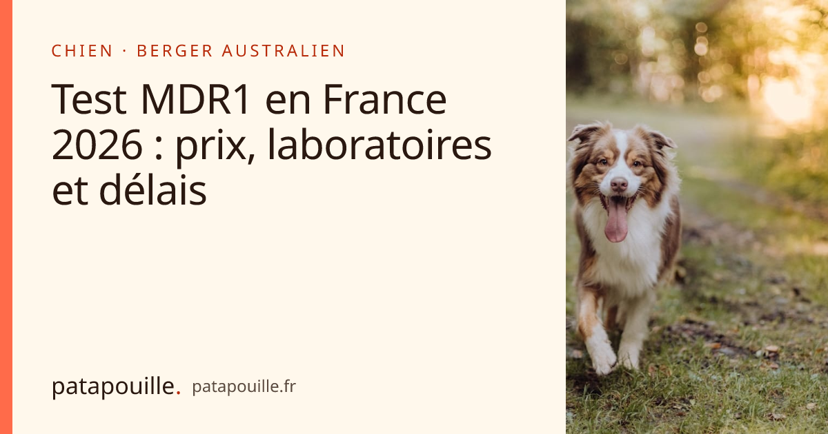 Test MDR1 en France 2026 : prix, laboratoires et délais
